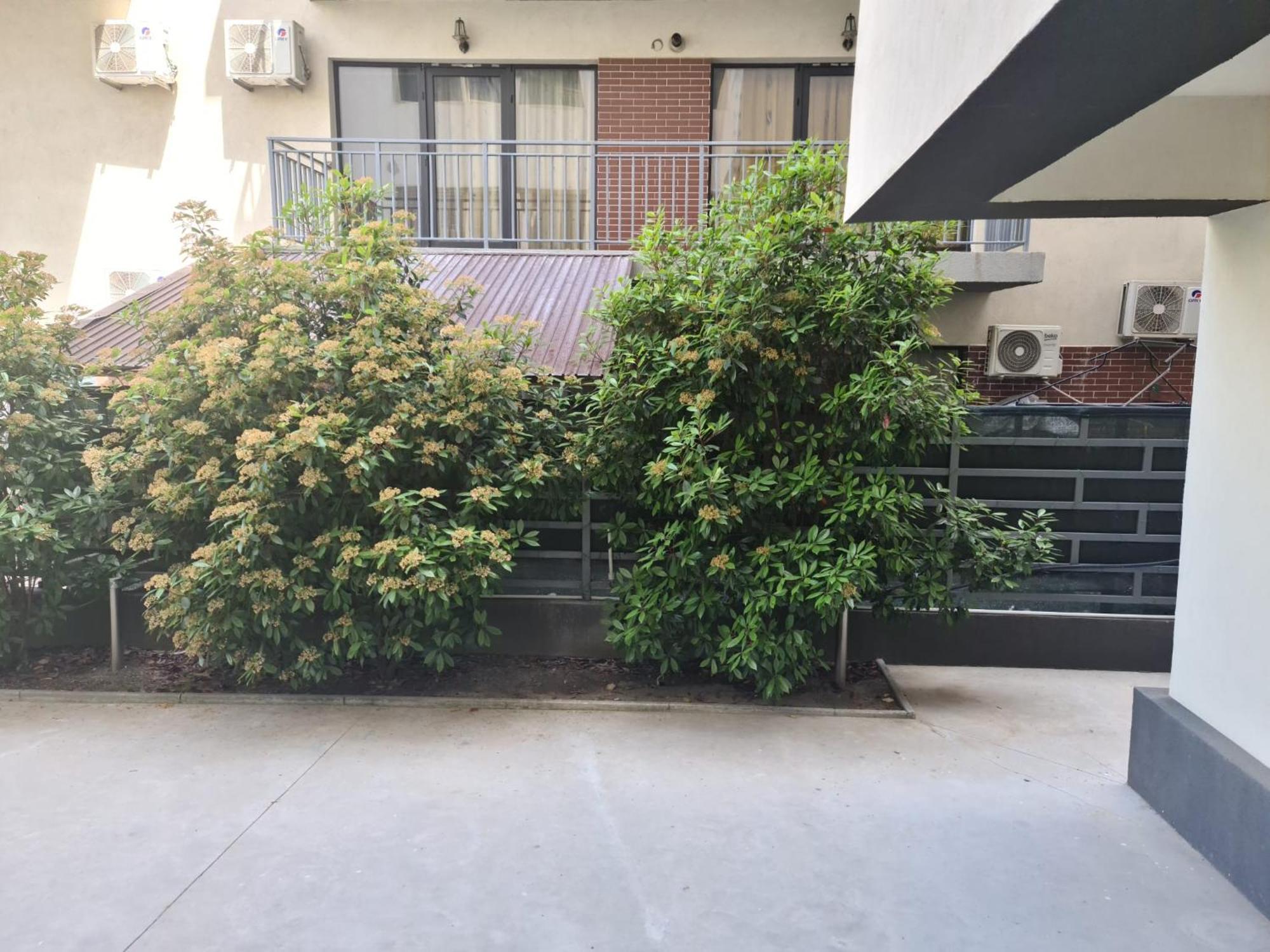 Apartament Deea Năvodari Екстериор снимка